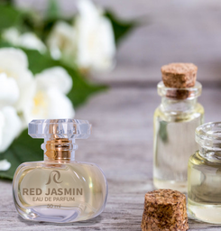 RED JASMIN / Tendance Jasmin Tom Fort Rouge